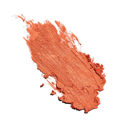 Sunforgettable Total Protection Color Balm SPF 50