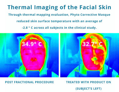 Phyto Corrective Masque