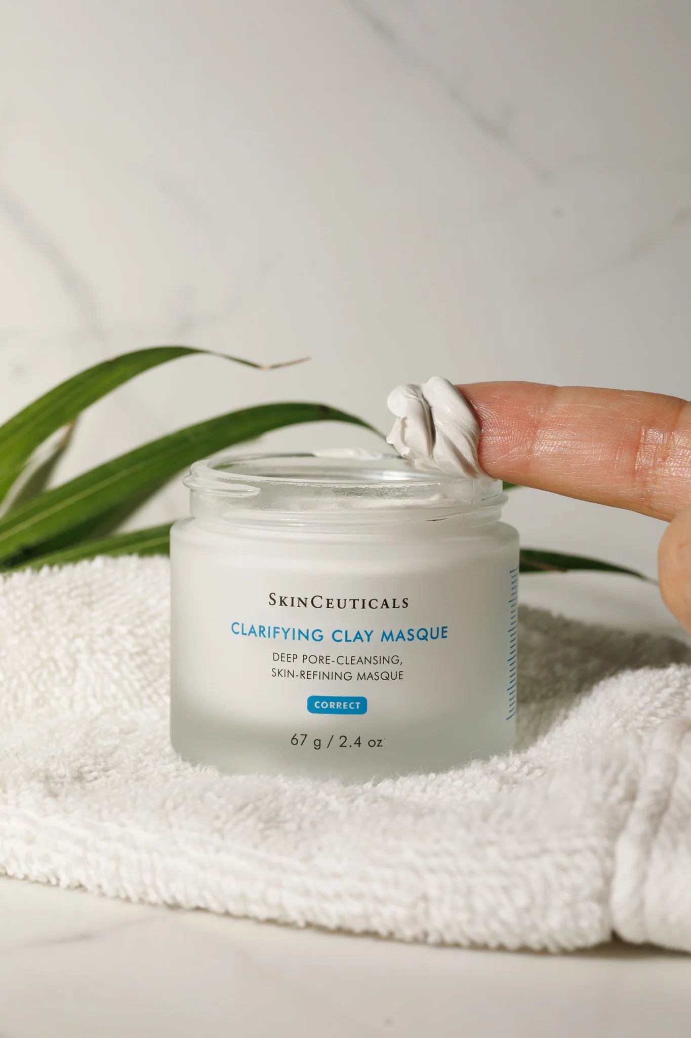 Clarifying Clay Masque